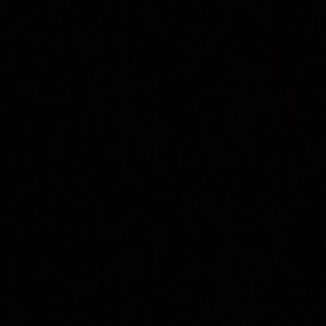 Meet your Posher, Shanika